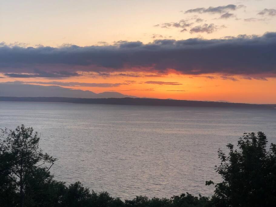 1-Bedroom Seaview Guesthouse On Seattle Luxury Estate With Views Of Olympic Mountains Εξωτερικό φωτογραφία