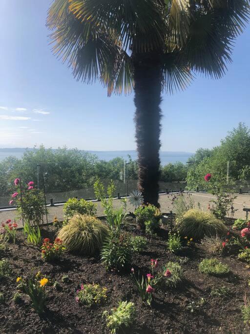 1-Bedroom Seaview Guesthouse On Seattle Luxury Estate With Views Of Olympic Mountains Εξωτερικό φωτογραφία