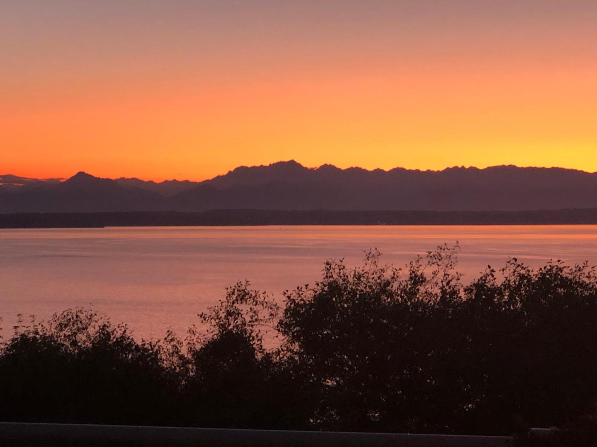 1-Bedroom Seaview Guesthouse On Seattle Luxury Estate With Views Of Olympic Mountains Εξωτερικό φωτογραφία